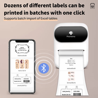 Phomemo M110 Portable Label Printer